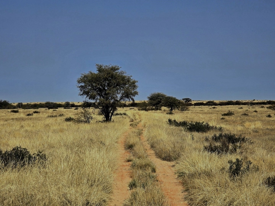 Commercial Property for Sale in Kenhardt Northern Cape